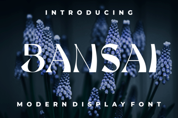 Bansai: A Font That Breathes Life Into Your Craft