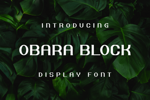 Boost Your Brand with Obara Block: A Powerful Display Font for Small Businesses