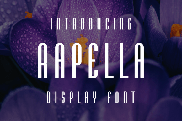 Rapella: A Versatile Display Font for Modern Web Design